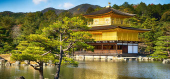 Индивидуальные туры в Японию