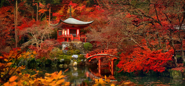 Буддийский храм Daigo-ji (яп. 醍醐寺) в районе Фусими, Киото